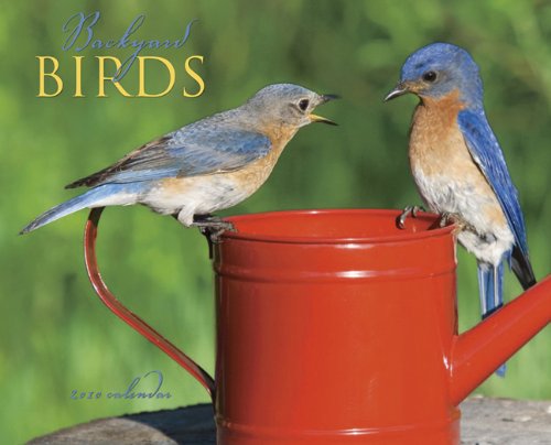 Backyard Birds 2010 Calendar