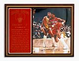 Julius Erving Philadelphia 76ers Autographed Commemorative Plaque