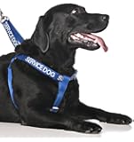Service Dog Blue Color Coded Alert Warning L XL Non Pull Dog Harness Prevents Accidents By Warning Others of Your Dog in Advance