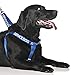 Service Dog Blue Color Coded Alert Warning L XL Non Pull Dog Harness Prevents Accidents By Warning Others of Your Dog in Advance