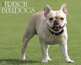 Just French Bulldogs 2012 Calendar