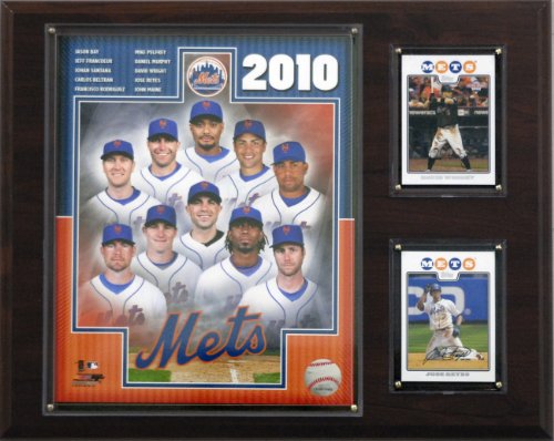 MLB New York Mets 2010 Team Plaque