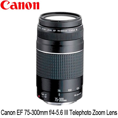 Canon EOS Rebel T2i 18 MP CMOS APSC Digital SLR Camera with EFS 18