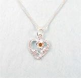 51JcudT2n0L. SL160  Sterling Silver Heart Rose November Birthstone Necklace 20