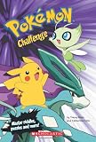 Pokemon Challenge
