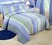 James Twin Quilt with Pillow Sham