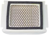Produkt-Bild: Noname 2081249 Luftfilter FJ 1100/1200 T. Vergleichsnr: 36Y-14451-00