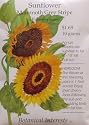 Mammoth Grey Stripe Sunflower Heirloom Seeds 75 Seeds