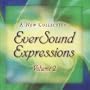 Eversound Expressions 2