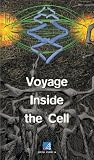 Voyage Inside the Cell