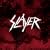 World Painted Blood (CD & DVD)