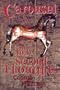 Carousel: A Book of Second Thoughts