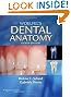 Woelfel's Dental Anatomy: Its Relevance to Dentistry