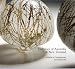 Books : galleries of australia & new zealand: A Guide to Contemporary Arts and Crafts