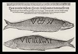Gottfried von Kempen (Report of wondrous herring in the Norwegian Sea and from ducks and geese in Croatia, December 1587) Black Wood-Mounted Art Poster Print - 13" X 19"
