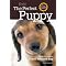 Help for the Adopted Dog