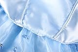 ReliBeauty Girls Butterfly Embroidery Princess Cinderella Costume (7, Light Blue)