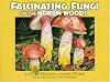 Fascinating Fungi of the North Woods