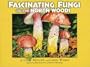 Fascinating Fungi of the North Woods