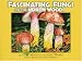 Fascinating Fungi of the North Woods