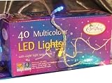 : Multicolour Outdoor Led Lights 40 bulb