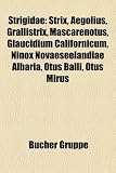 Produkt-Bild: Strigidae: Strix, Aegolius, Grallistrix, Mascarenotus, Glaucidium Californicum, Ninox Novaeseelandiae Albaria, Otus Balli, Otus M