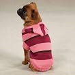 Zack & Zoey Striped Knit Dog Hoodies