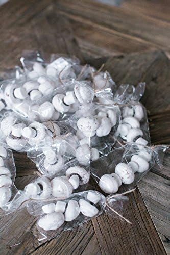 Handmade Meringue Mushrooms Wedding Favors
