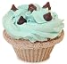Fizzy Baker Mint Chocolate Chip Cupcake Bath Bomb