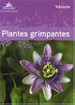 Guide des plantes grimpantes