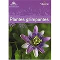Guide des plantes grimpantes