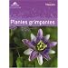 Guide des plantes grimpantes