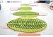 Luxbon Green Leaf Shaped Oval Bathmat Living Room Carpet Bedroom Rug Washable Rugs Home Decorator Floor Rug and Carpets(17.7