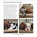 This Little Piggy: A celebration of the world's most irresistable pet