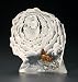 Disney Collectable - Lion King - Remember Who You Are - Simba