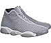 Jordan Horizon Men Lifestyle Casual Sneakers New Wolf Grey