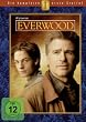 Everwood - Die komplette erste Staffel [6 DVDs]
