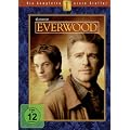 Everwood - Die komplette erste Staffel [6 DVDs]