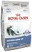 Royal Canin Dry Cat Food, Indoor Adult 27 Formula, 15-Pound Bag
