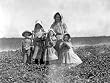 McNadd Family of Berry Pickers, Delaware, 1910 16x20-inch Photographic Print from the Library of Congress Collection