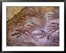 Ancient Hand and Rhea Print Paintings, Cave of the Hands, Santa Cruz Province, Patagonia, Argentina Framed Art Poster Print by Lin Alder, 39x31