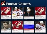 Yotes Buzz