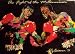 Search : The Fight of the Millennium - Oscar De La Hoya & Felix 'Tito' Trinidad 9/18/1999 Official Program