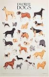 Favorite Dog Breeds Poster - For Dog Lovers. Educational