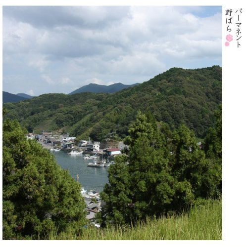 パーマネント野ばら 福原まり