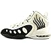 Nike Men's Sonic Flight Basketball Shoe