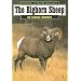 The Bighorn Sheep (Wildlife of North America)