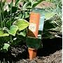 Plant Nanny 6051 Wine Bottle Stakes