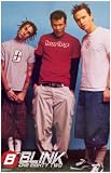 Blink-182 - Stay Off the Grass! - Mark Tom Travis 11x17 Poster