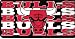 CHICAGO BULLS NBA LICENSE PLATE